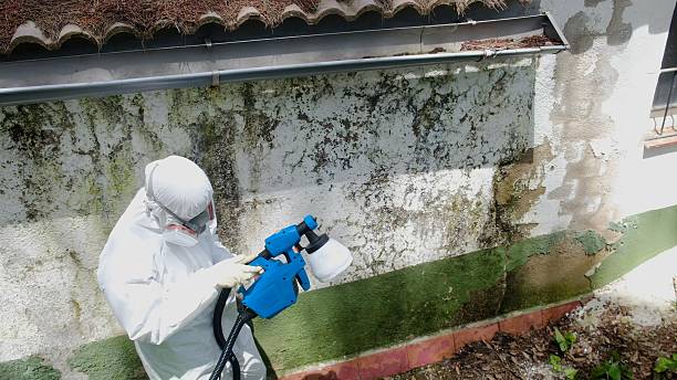 Top rated local Mold Remediation specialists in York Springs, PA